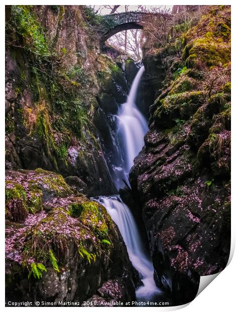 Aira Force Waterfall Print by Simon Martinez