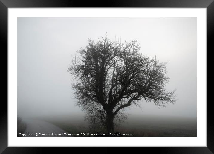 Tree silhouette and road through winter mist Framed Mounted Print by Daniela Simona Temneanu