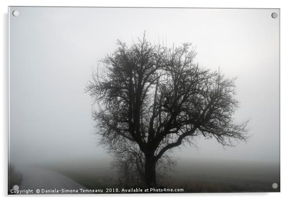 Tree silhouette and road through winter mist Acrylic by Daniela Simona Temneanu