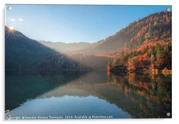 Sunshine over autumn forest and lake reflection Acrylic by Daniela Simona Temneanu