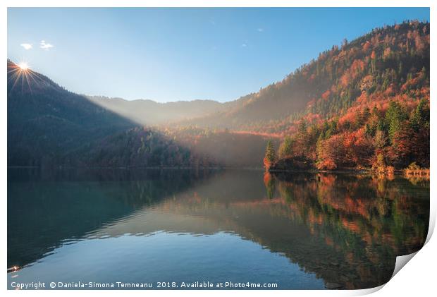 Sunshine over autumn forest and lake reflection Print by Daniela Simona Temneanu