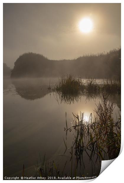 Misty Sunrise Print by Heather Athey