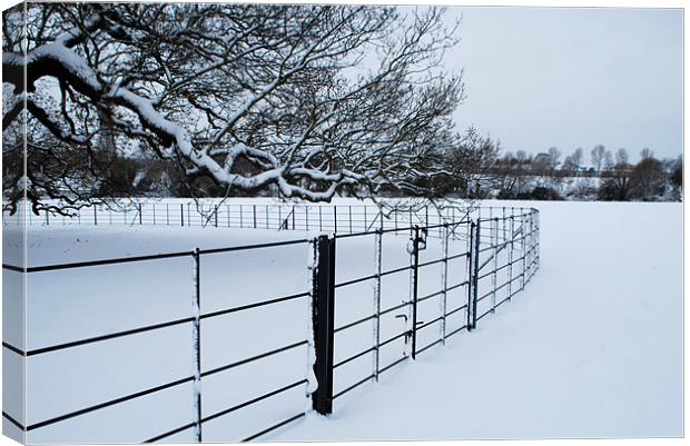 Cold Fence Canvas Print by Karen Martin