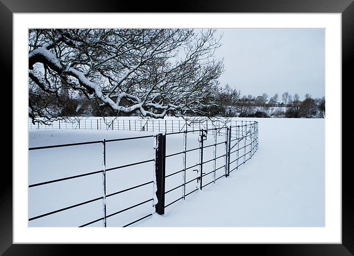 Cold Fence Framed Mounted Print by Karen Martin