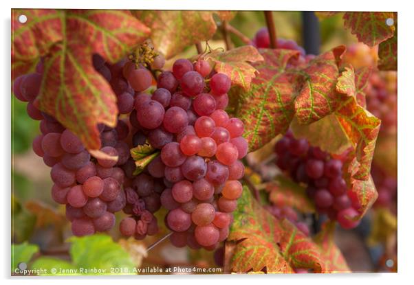 Juicy Taste Of Autumn. Red Grapes Clusters 1 Acrylic by Jenny Rainbow