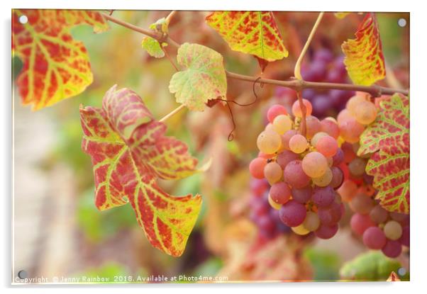 Juicy Taste Of Autumn. Red Grapes Clusters 8 Acrylic by Jenny Rainbow
