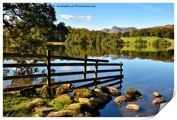Loughrigg tarn Reflections Print by Jason Connolly