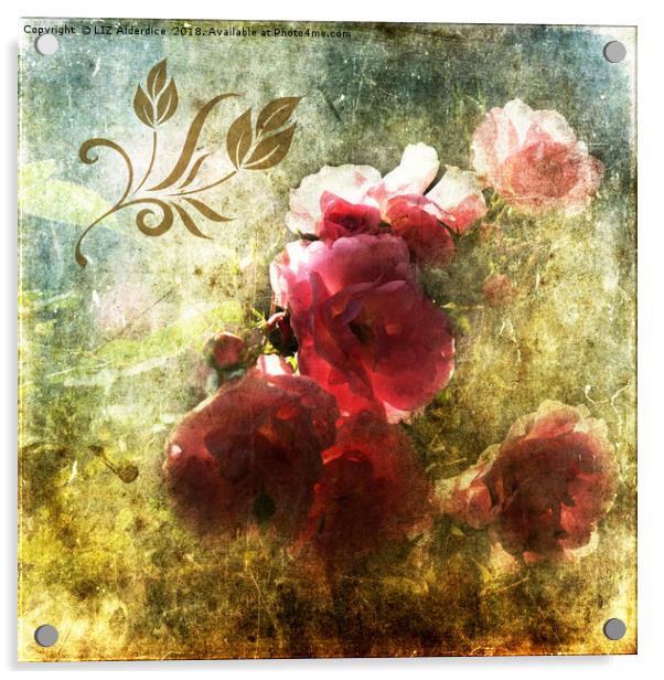 Vintage Roses Acrylic by LIZ Alderdice