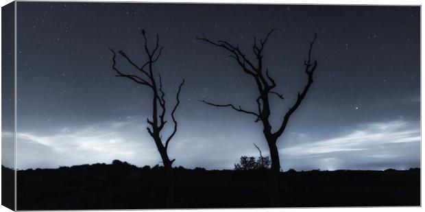 Silhouettes and stars  Canvas Print by Gary Pearson