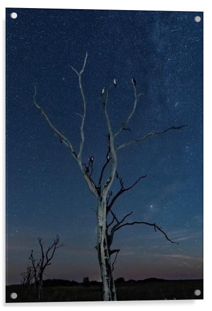 Sleeping under the stars  Acrylic by Gary Pearson