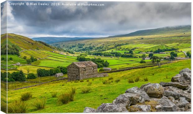 Swaledale Stone Walls and Barns Canvas Print by Alan Deeley