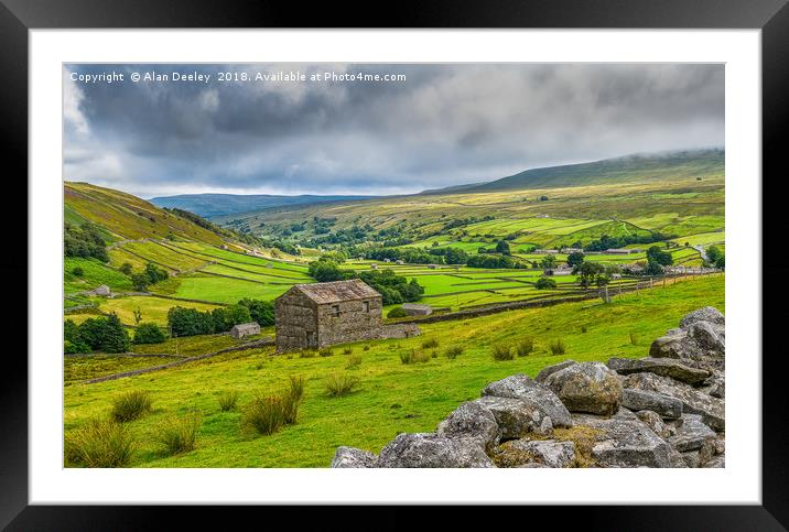 Swaledale Stone Walls and Barns Framed Mounted Print by Alan Deeley
