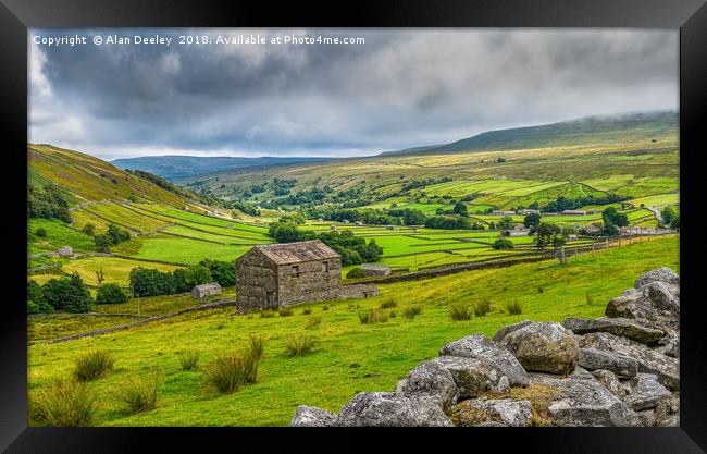 Swaledale Stone Walls and Barns Framed Print by Alan Deeley