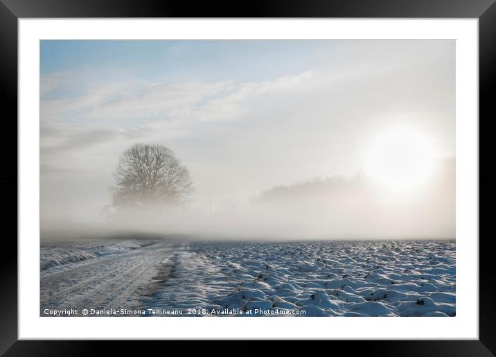 Cold mist over snowy road and tree Framed Mounted Print by Daniela Simona Temneanu