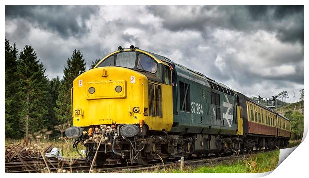 Class 37 diesel loco 37264,  Print by Rob Lester