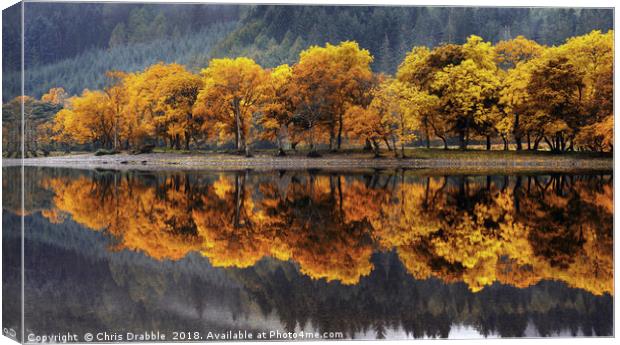 Autumn colours on Loch Lubnaig Canvas Print by Chris Drabble