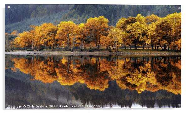 Autumn colours on Loch Lubnaig Acrylic by Chris Drabble