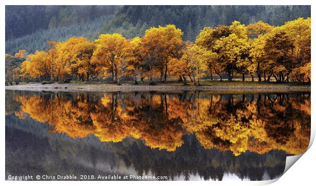 Autumn colours on Loch Lubnaig Print by Chris Drabble