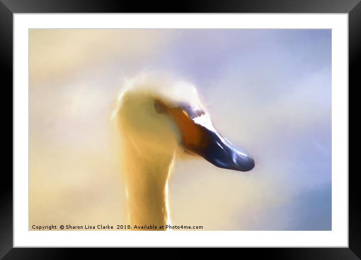 Whispy Swan Framed Mounted Print by Sharon Lisa Clarke