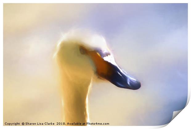 Whispy Swan Print by Sharon Lisa Clarke