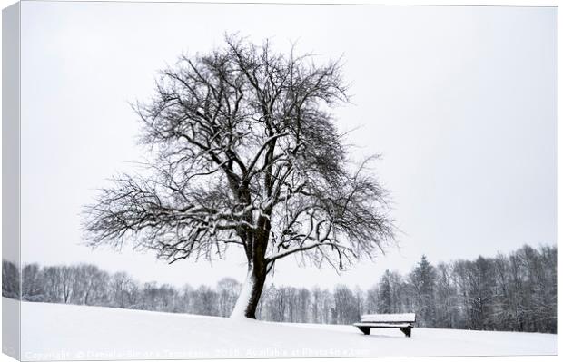 Leafless tree and a bench covered in snow Canvas Print by Daniela Simona Temneanu