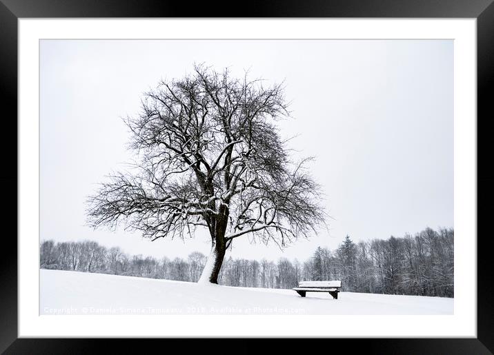 Leafless tree and a bench covered in snow Framed Mounted Print by Daniela Simona Temneanu