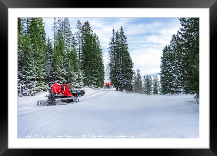 Snow groomers on alpine road through forest Framed Mounted Print by Daniela Simona Temneanu