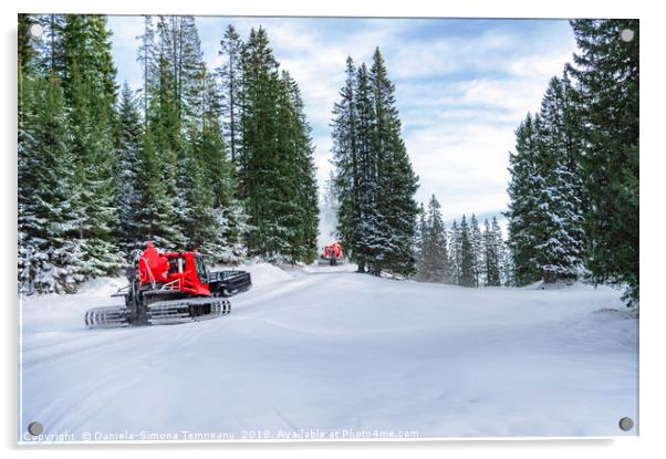 Snow groomers on alpine road through forest Acrylic by Daniela Simona Temneanu