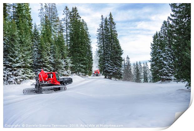 Snow groomers on alpine road through forest Print by Daniela Simona Temneanu