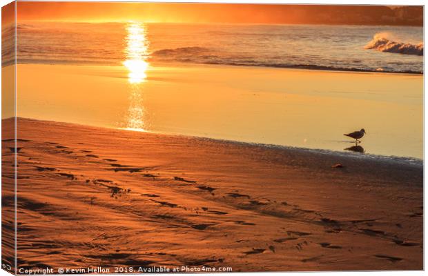 Bird wading in the sea at sunset  Canvas Print by Kevin Hellon