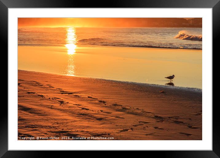Bird wading in the sea at sunset  Framed Mounted Print by Kevin Hellon