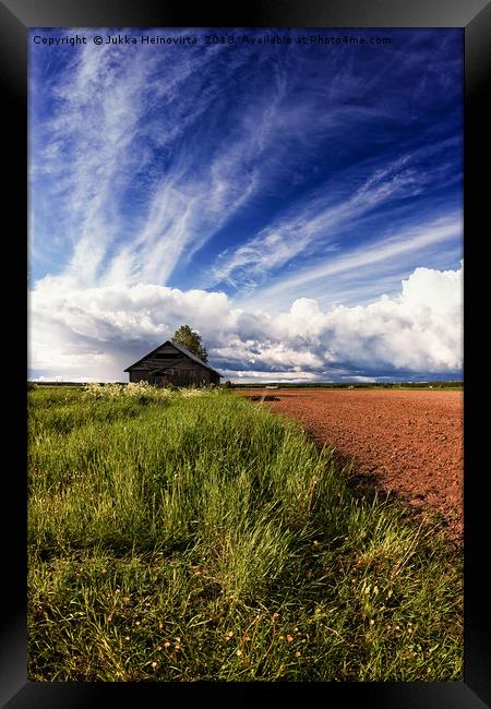 Tiny Barn House By The Summer Fields Framed Print by Jukka Heinovirta
