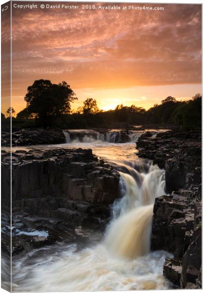 Low Force Sunset Canvas Print by David Forster