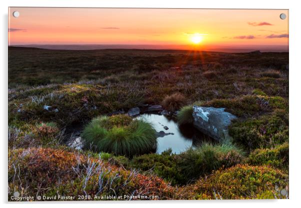 Beautiful North Pennine Sunrise Acrylic by David Forster