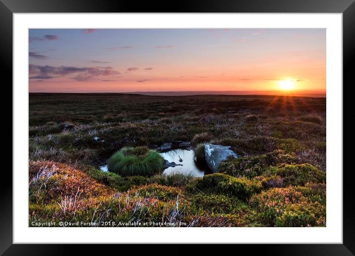 North Pennine Sunrise Framed Mounted Print by David Forster