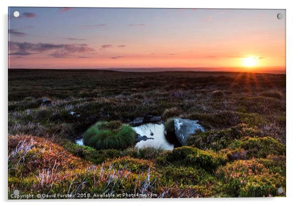 North Pennine Sunrise Acrylic by David Forster
