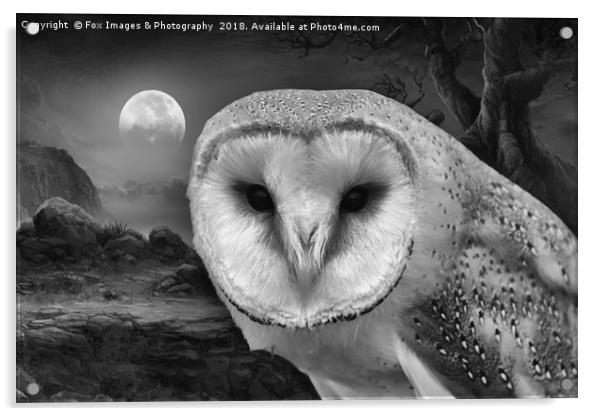 Barn owl at night Acrylic by Derrick Fox Lomax