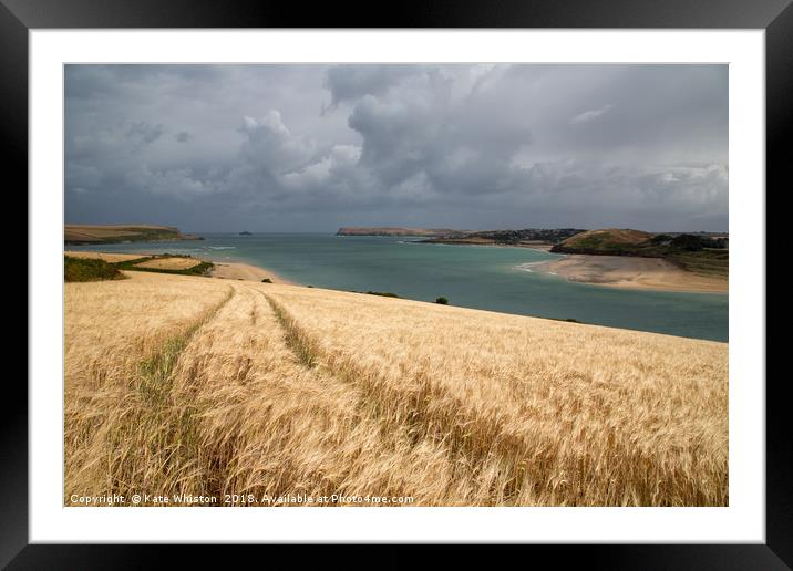 Golden Barley Framed Mounted Print by Kate Whiston