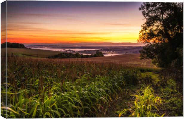 South Downs Sunrise Canvas Print by Tom Hard