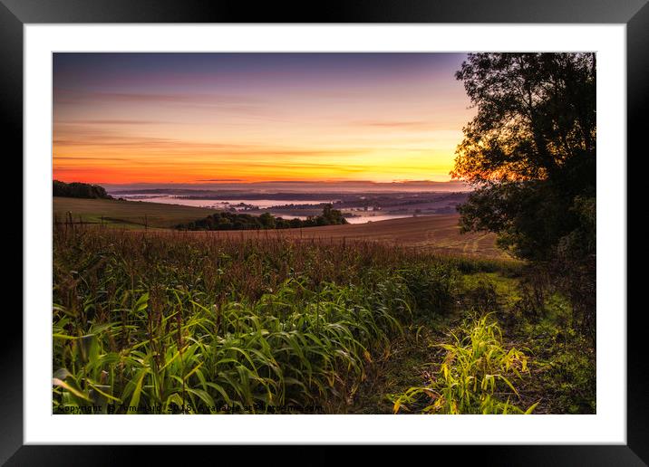 South Downs Sunrise Framed Mounted Print by Tom Hard