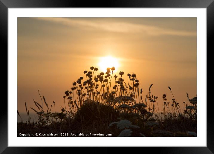 Sea Pinks at Sunset Framed Mounted Print by Kate Whiston