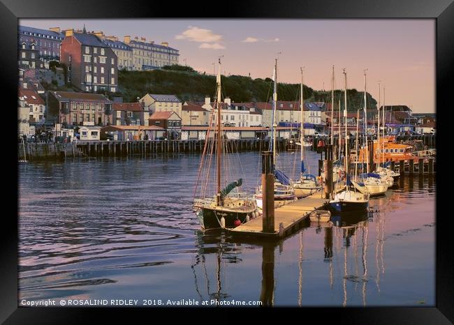 "Evening Light on Whitby Harbour" Framed Print by ROS RIDLEY