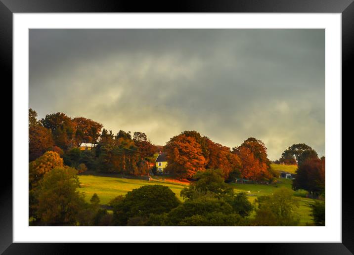 Autumnal Sunrise Framed Mounted Print by Steve Purnell