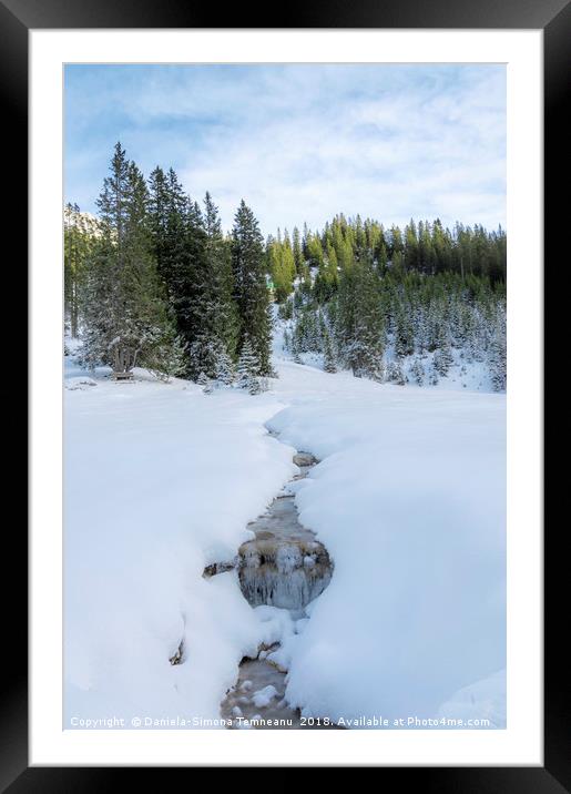 Frozen stream in austrian alps Framed Mounted Print by Daniela Simona Temneanu