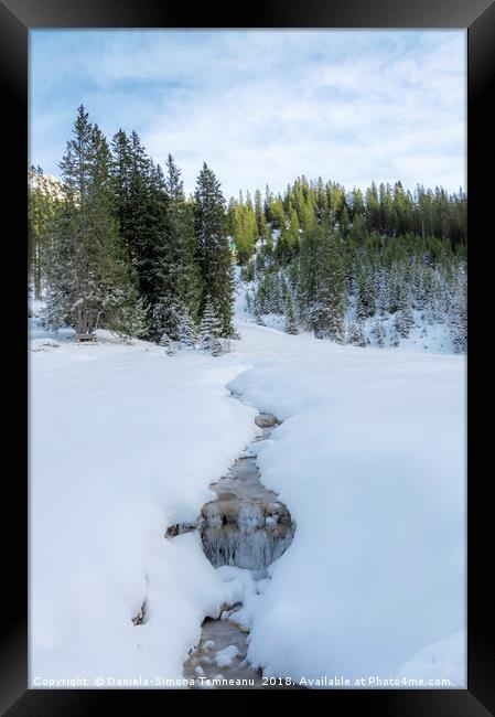 Frozen stream in austrian alps Framed Print by Daniela Simona Temneanu