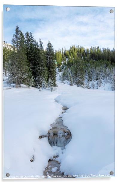 Frozen stream in austrian alps Acrylic by Daniela Simona Temneanu