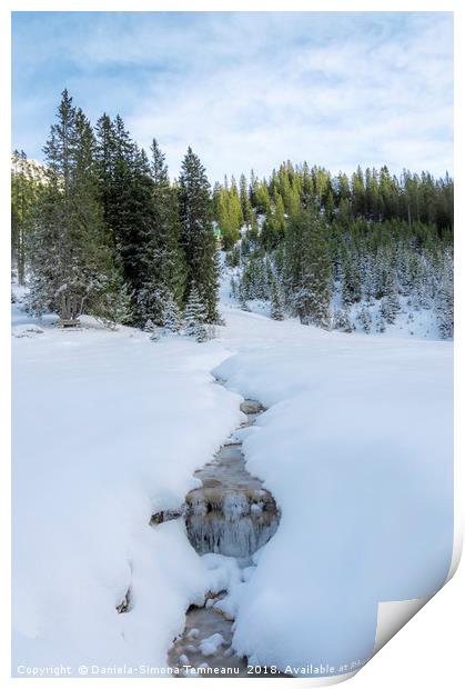 Frozen stream in austrian alps Print by Daniela Simona Temneanu