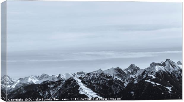 Snow-capped mountain monochrome Canvas Print by Daniela Simona Temneanu