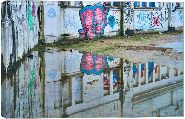 Reflection in the water Canvas Print by Alan Glicksman