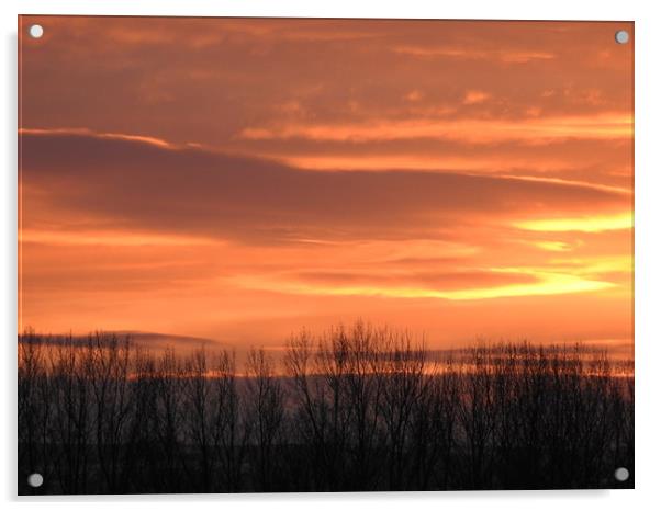 Sunset over Darlington Acrylic by Pauline Raine